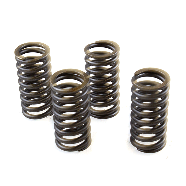 Clutch Springs for ZY125-E4